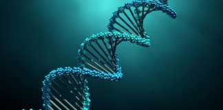 Ο καπιταλισμός και η οικονομία του DNA DNA, καπιταλισμός, οικονομία