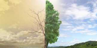 Κλιματική αλλαγή: μόνη λύση η σχεδιασμένη οικονομία Κλιματική Αλλαγή, Σχεδιασμένη Οικονομία