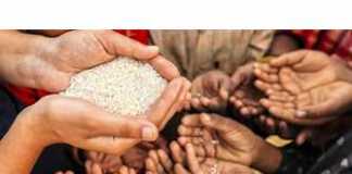 Kαπιταλισμός και τροφή: πείνα εν μέσω αφθονίας