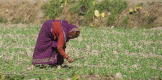 Ο καπιταλισμός καταδικάζει δισεκατομμύρια ανθρώπους στην πείνα παρά την υπερεπάρκεια τροφής