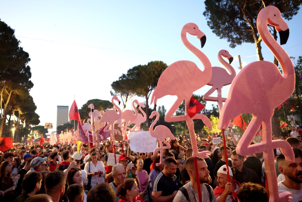 flamingo